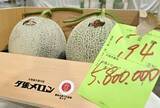 「「夕張メロン」2玉580万円　札幌で初競り、過去最高額」の画像1