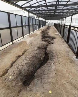 熊本地震、断層7年間ずれ　最大40センチ、インフラ影響も