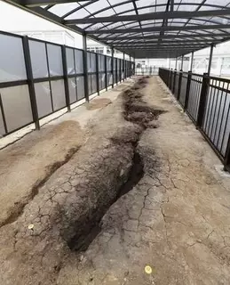 熊本地震、断層7年間ずれ　最大40センチ、インフラ影響も