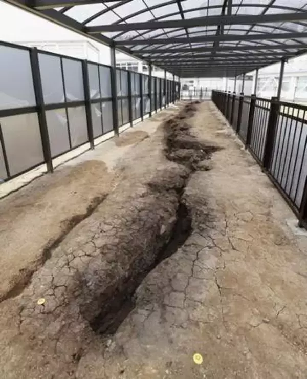 熊本地震、断層7年間ずれ　最大40センチ、インフラ影響も