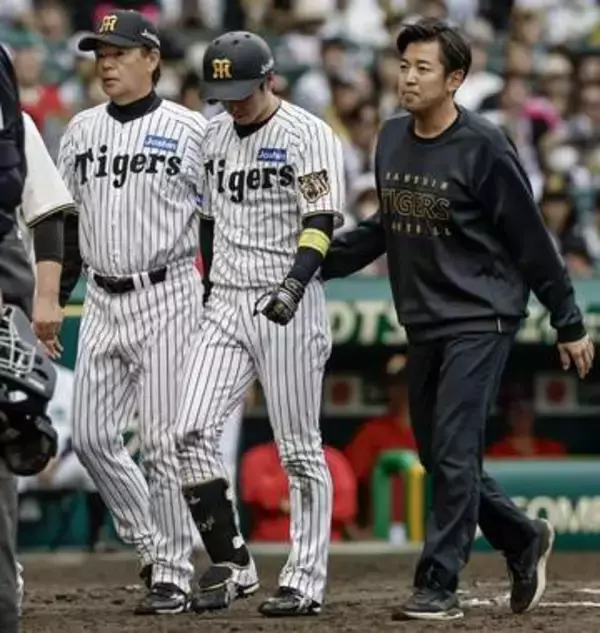 阪神・近本が死球で左手首骨折　長期離脱の可能性