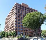 「ラオス女性盗撮、有罪判決　66歳男、名古屋地裁」の画像1