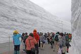 「立山黒部アルペンルート全線開通　「雪の大谷ウオーク」も開催」の画像1