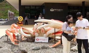 カニの魅力、味わい尽くす　体験型施設「身近な食に」