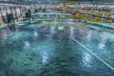 「陸上養殖サーモン、血液から鉄剤開発へ　静岡県、大学や企業と連携」の画像1