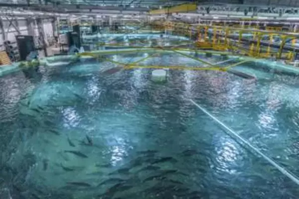 陸上養殖サーモン、血液から鉄剤開発へ　静岡県、大学や企業と連携