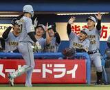 「ヤ0―10神（12日）　阪神快勝で首位返り咲き」の画像1
