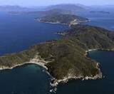 「中間貯蔵賛成派5人当選確実　上関町議選、反対派は3人」の画像1