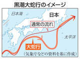 「【独自】高知カツオ水揚げ、25年4割減　黒潮大蛇行の終息も影響か」の画像1