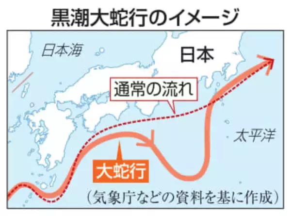 【独自】高知カツオ水揚げ、25年4割減　黒潮大蛇行の終息も影響か