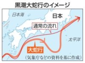 【独自】高知カツオ水揚げ、25年4割減　黒潮大蛇行の終息も影響か