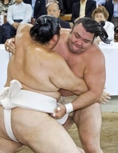 稽古総見、綱とり霧島10勝6敗　大の里は10勝5敗
