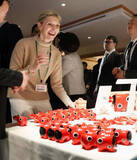 「日本文化、ダボスでPR　福島の復興状況も紹介」の画像1