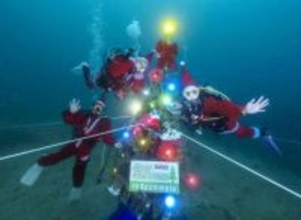 海中ツリー、飾りきらめく　和歌山・串本のクリスマス