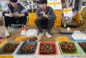 中国、景気低迷でもトリュフ人気　プチぜいたくの消費者心理