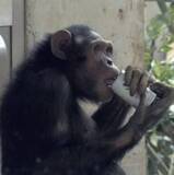 「＜あのころ＞自販機からジュース買えた　25年前の2月9日」の画像1