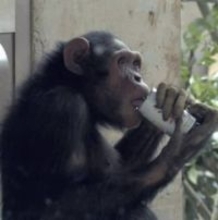 ＜あのころ＞自販機からジュース買えた　25年前の2月9日