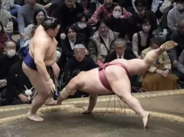 両横綱、安青錦が6勝目　全勝消える、1敗6人