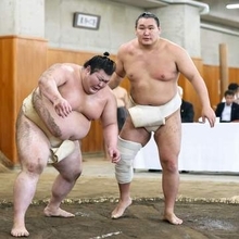 豊昇龍の出場可否、11日に判断　師匠「完璧な状態にしないと」