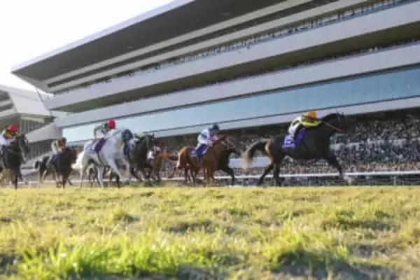 競馬、ジャンタルマンタルが優勝　マイルチャンピオンシップ