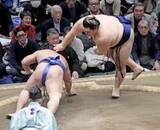 「両横綱、安青錦が1敗守る　琴桜4勝目、全勝阿炎一人」の画像1