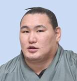 「豊昇龍パリ公演参加へ　師匠「軽度の肉離れ」」の画像1