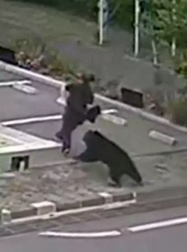 クマ襲撃の十数秒、一部始終記録　被害男性を執拗に追走、福島