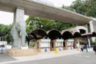 多摩動物公園でオオカミが脱走　東京都日野市、客は建物に避難