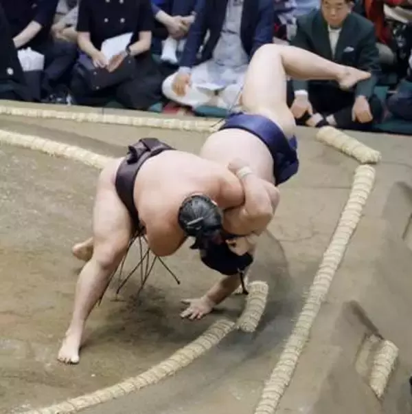 大関復帰の霧島5連勝　琴桜3敗目、全勝2人