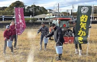 廃棄カキ殻、肥料に活用　栽培の酒米で日本酒醸造