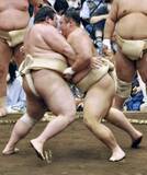 「元大関朝乃山「10勝以上目標」　熱海富士らと12番で8勝」の画像1