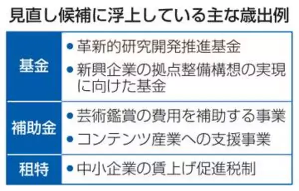 無駄な歳出、削減本格化　消費減税、財源確保急ぐ