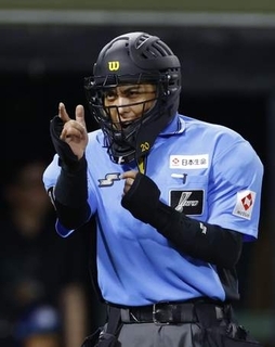 審判員の安全対策高める　プロ野球、防具で頭部全体