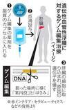 「体内ゲノム編集で治療効果　初実用化へ米承認申請開始」の画像1