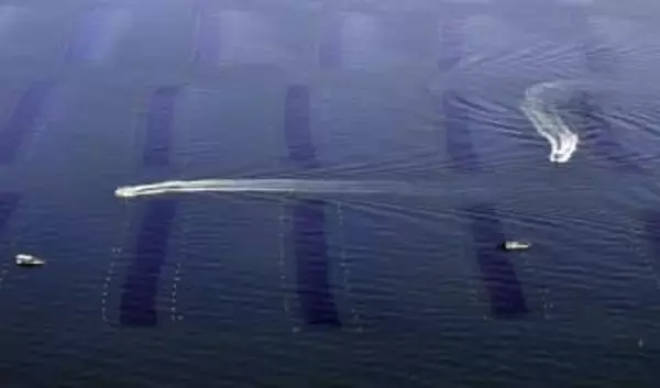 ノリ不作で「栄養塩」規制緩和　東京湾と伊勢湾、環境省