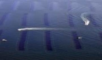 ノリ不作で「栄養塩」規制緩和　東京湾と伊勢湾、環境省