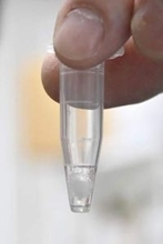 時差ぼけ回復薬、開発に道？　体内時計進める化合物発見