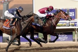 フォーエバーヤングが代表馬受賞　25年度JRA賞