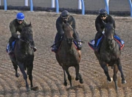 レガレイラは強めの調整　競馬の有馬記念最終追い切り
