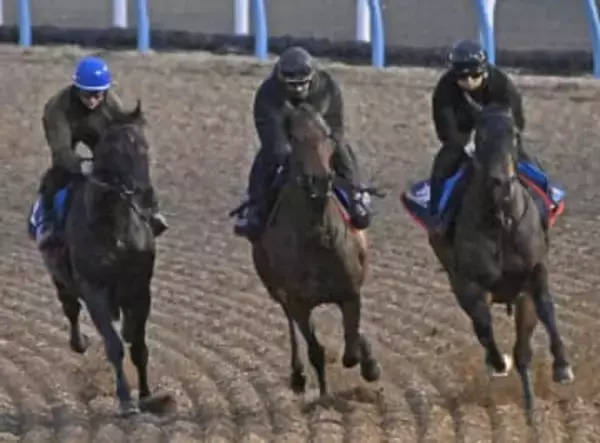 レガレイラは強めの調整　競馬の有馬記念最終追い切り