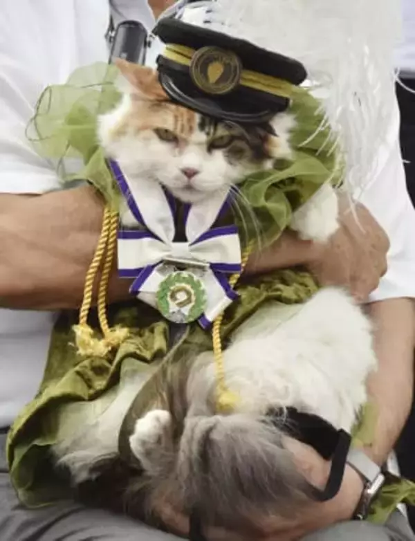 2代目ネコ駅長死ぬ　和歌山電鉄の「ニタマ」