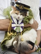 2代目ネコ駅長死ぬ　和歌山電鉄の「ニタマ」