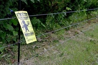 岩手でクマが住宅に相次ぎ侵入　雫石町内、同一個体の成獣か