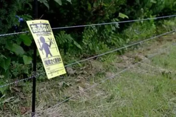 岩手でクマが住宅に相次ぎ侵入　雫石町内、同一個体の成獣か