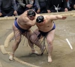 安青錦単独トップ、1差6人　大の里勝ち越し、豊昇龍4敗