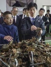 鈴木農相がカキ養殖場を視察　大量死問題「経営支えたい」