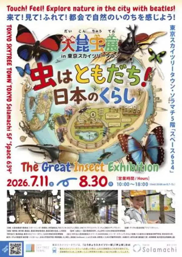 カブトムシと夏の思い出を　スカイツリーで「大昆虫展」