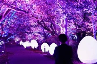 福岡城跡、幻想の光彩るアート展　チームラボ、来年1月まで