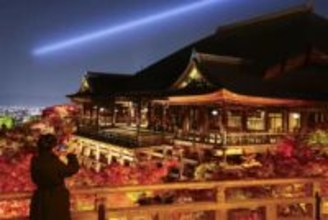 色づくモミジ、闇夜彩る　京都・清水寺で試験点灯