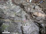 「小惑星衝突示す地層を発見　北海道、大量絶滅の解明へ」の画像1